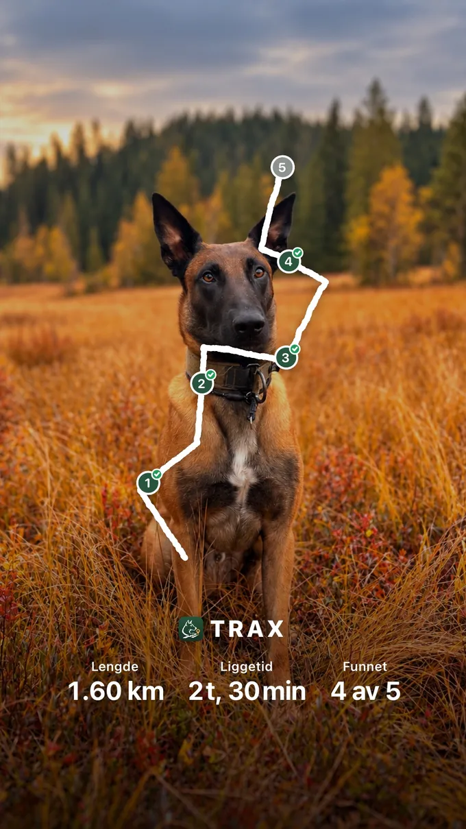 Share image from Trax: the track with four found items on top of a photo of Quatro, with length, track age and items found at the bottom
